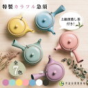 竹の匠とカラフル急須POYのセット 急須 おしゃれ 洗いやすい かわいい シンプル お試し お茶 洗いやすい 宇治茶 日本茶 緑茶 茶葉 ギフト プレゼント カ...
