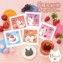 5種の和紅茶 キャッティー15パック組【 紅茶 和紅茶 ティーバック 小分け おしゃれ かわいい プレゼント ギフト 贈り物 誕生日 甘いものが苦手 フルーツティー お洒落 お茶 健康 詰め合わせ 贈答 職場 フレーバーティー 猫グッズ 猫好き 猫の日 ねこの日 ネコの日 】