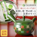 【 レトロモダン 】市松ポイポイ急須と深蒸し茶竹の匠のセット 急須 おしゃれ 洗いやすい きゅうす お茶 日本製 プレゼント ギフト 還暦 米寿 古稀 喜寿 長...