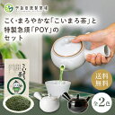 十年急須 500ml （茶漉し付 軽量 トライタン ティーポット 茶器 きゅうす 割れない 丈夫 長持ち 樹脂製 茶葉 日本茶 紅茶 モダン スケルトン 半透明 乳白色 10年急須 鈴木化学工業所） 【ポイント2倍/送料無料】【p0516】【ASU】