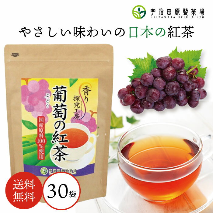 楽天お茶・抹茶の宇治田原製茶場【大容量】ぶどうの紅茶ティーバッグ30袋 紅茶 和紅茶 ティーバッグ おしゃれ かわいい プレゼント ギフト 贈り物 誕生日 甘いものが苦手 お洒落 お茶 健康 詰め合わせ ぶどう 葡萄 ブドウ フルーツティー フレーバーティー 敬老ギフト 敬老の日 宇治田原様製茶場