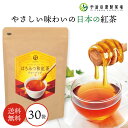 はちみつ 和紅茶 ティーバッグ30袋 紅茶 ティーバッグ おしゃれ お洒落 かわいい 可愛い プレゼント ギフト 贈り物 誕生日 甘いものが苦手 お洒落 お茶 健康 詰め合わせ 贈答 職場 はちみつ ハチミツ 敬老ギフト 敬老の日 宇治田原様製茶場