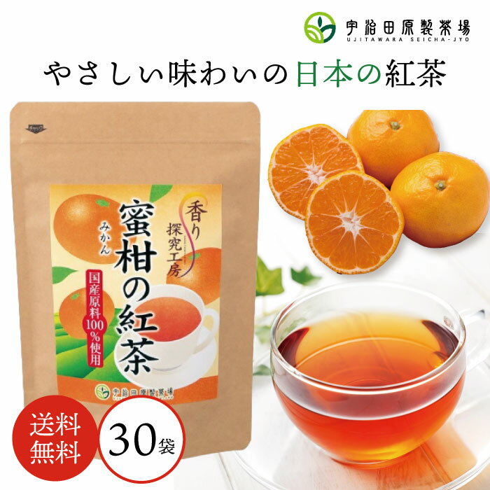 【大容量】みかんの紅茶ティーバッグ30袋 紅茶 ...の商品画像