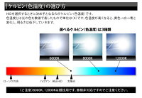 【4980円→980円大幅値下げ!】純正交換用HIDバルブD2R/D2S共通タイプ