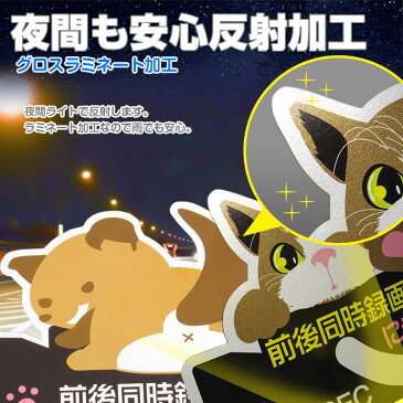 1000円OFFクーポン発行中 定形外送料無料 アニマル ドライブレコーダー ドラレコ ステッカー かわいい マグネット シール 反射 後方 あおり運転 危険運転 トラブル 防止 録画中 磁石