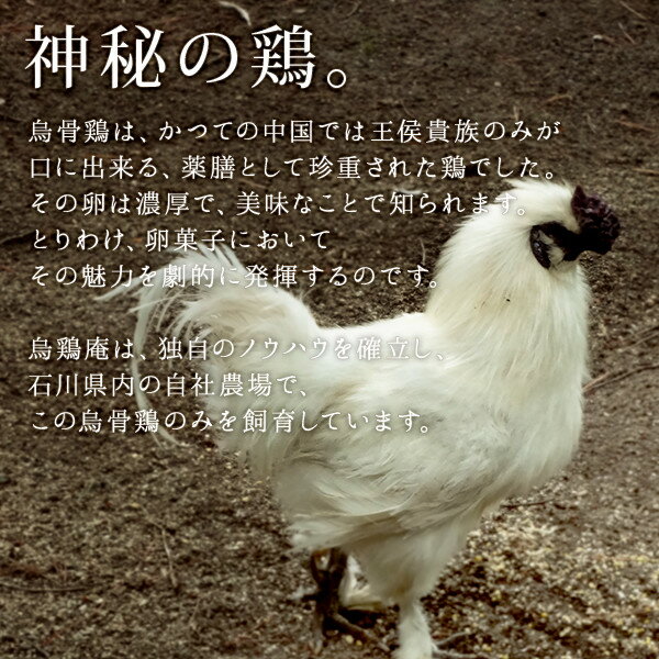 楽天市場 Tv登場 烏鶏庵 うけいあん 金沢の烏骨鶏カステラ 烏骨鶏かすていら 3号 2本入セット 金箔 烏鶏庵