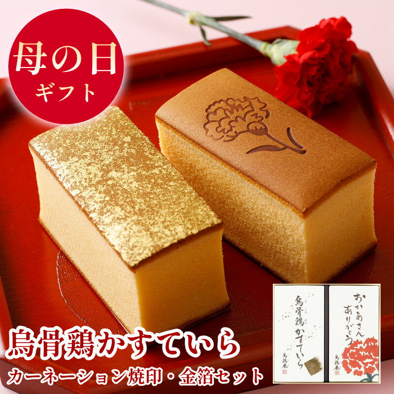 母の日ギフト【4/24（金）受付迄は送料無料】【5/7～10お届け】烏骨鶏かすていら（カーネーション ...