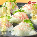【10/14(火)20時〜店内最大50%OFF!おうちごはん応援フェア開催!】真鯛 まだい たい 刺身 お刺身 刺し身 さしみ 刺し身 ギフト 切り方レシピ付き...