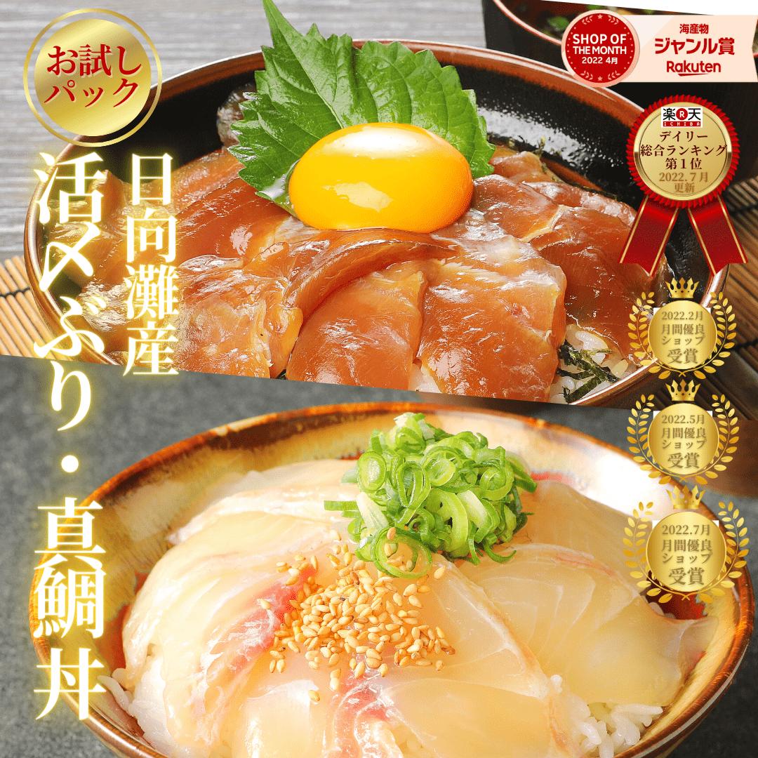 敬老の日 海鮮 海鮮丼 漬け 真鯛 鯛 まだい刺身 バレンタイン 母の日 父の日 敬老の日 ギフト おつまみ 海鮮 切るだけ◆＜日向灘まだいとブリ漬け丼お試しセット（冷凍専用）＞のサムネイル