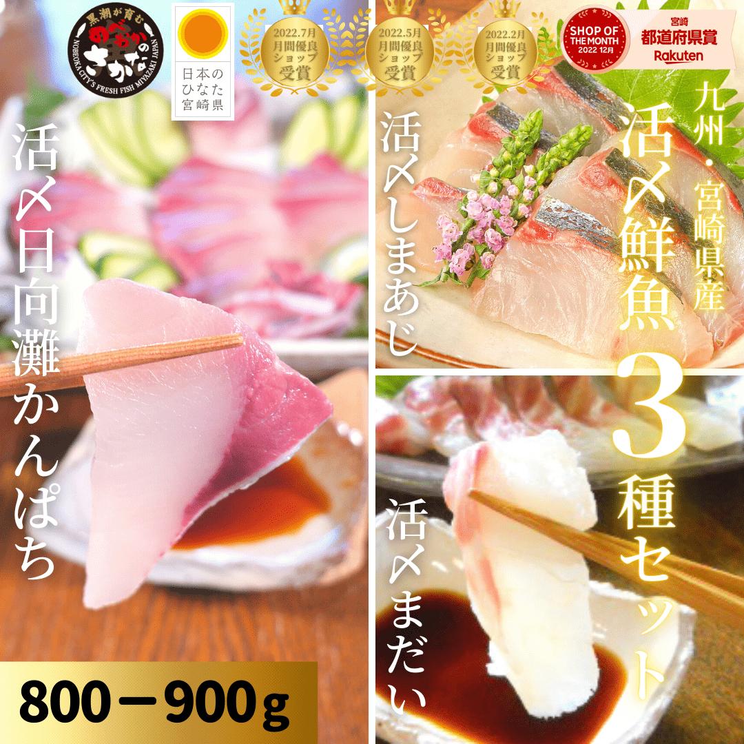 楽天宮崎 うまい刺身専門店 請関水産【5/20（月）09:59まで！最大2,000円OFFクーポンSALE☆店内にて開催中♬】父の日 刺身 盛り合わせ カンパチ 真鯛 まだい たい シマアジ 鯵 刺身 冷蔵 柵 ギフト おつまみ 海鮮◆＜日向灘かんぱち・まだい・しまあじ／活〆鮮魚3種セット（800-900g）＞