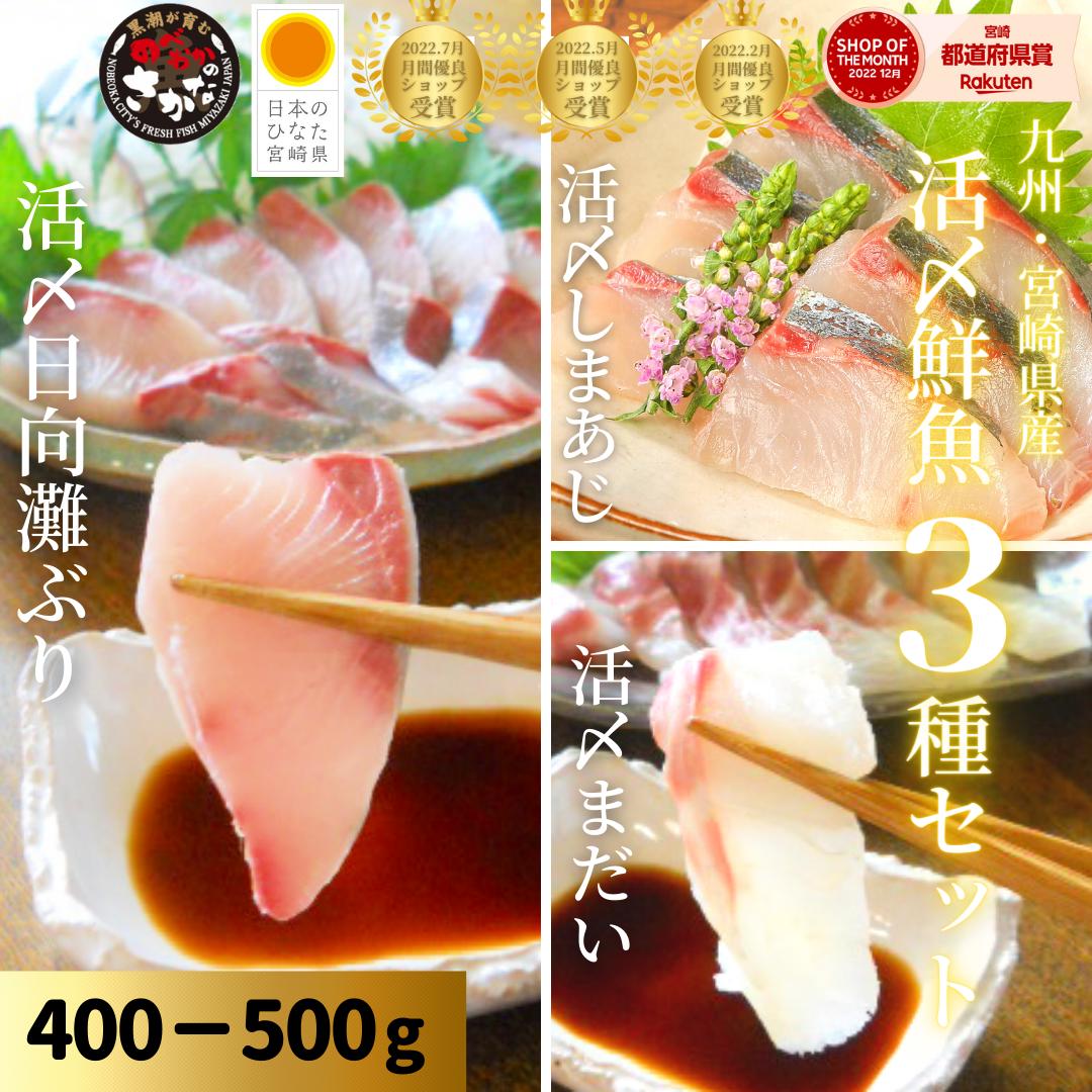 ＼ 春の贈りもの 母の日 入学 就職 送料無料 ／ 水揚げ ハマチ 4.0kg-5.0kg 1尾 高知県 養殖 鮮魚 中元 祝い 刺身 はまち 歳暮 ぶり 父の日 敬老の日 誕生日 快気祝 出世 栄転 出産 入学 卒業 七五三 成人祝い 就職 昇進 冷蔵