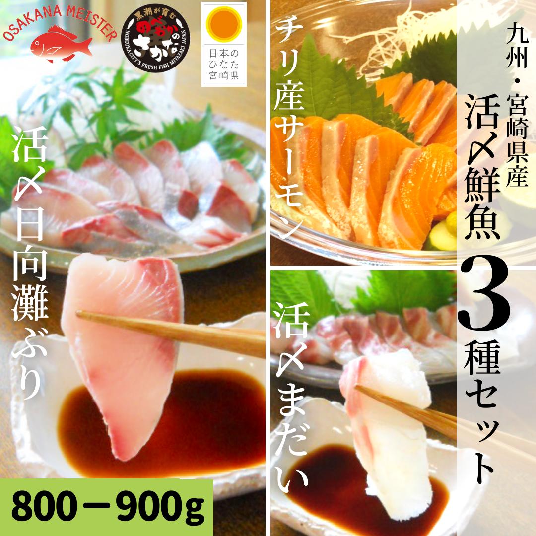 日向灘ぶり（はまち）・まだい・サーモン刺身盛り合わせ／活〆鮮魚3種セット【800-900g】産地直送！送料無料九州宮崎県延岡産／敬老の日 おつまみセット 海鮮 海鮮丼 ブリ タイ サーモン 柵 生 お祝い 下処理済 簡単調理 刺身 切るだけ 刺身直送