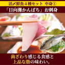 【連休限定セール！最大35％OFFクーポン進呈中！】父の日 刺身 盛り合わせ カンパチ 真鯛 ヒラメ シマアジ アジ 鯵 刺身 冷蔵 柵 ギフト おつまみ 海鮮◆〈活〆鮮魚4種セット（550-650g）／日向灘かんぱち・まだい・ひらめ・しまあじ刺身〉