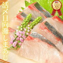 【ふるさと納税】あじ 国産 干物 開き 満腹セット（20枚）［1511］