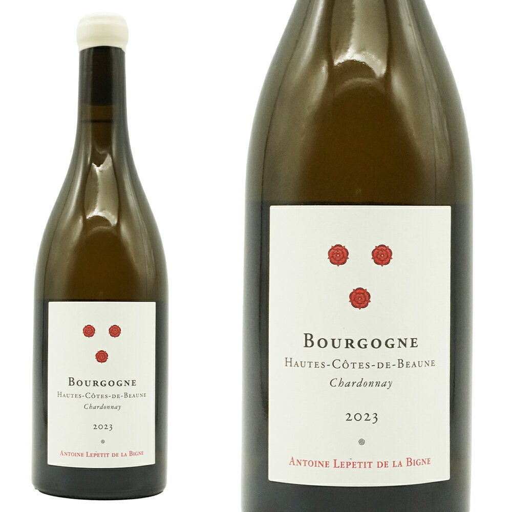 �֥르���˥� ������ ������ �� �ܡ��� �����ɥ� 2023 Ķ������� ����ȥ�� ��ץƥ� �� �� �ӡ��˥� ������ ������������å�