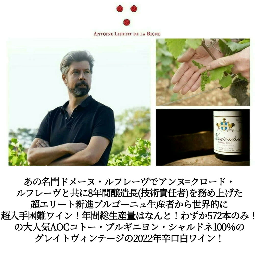 コトー ブルギニヨン シャルドネ ジューヌ ヴィーニュ 2022 アントワーヌ ルプティ ド ラ ビーニュ 自然派 世界的に超入手困難ワイン ロウ封印 ukigoods-10030711 愛あるしんちゃんショップ サンプル画像3