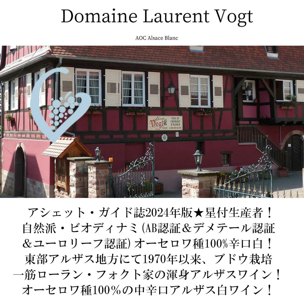 アルザス オーセロワ 2023 ドメーヌ ローラン ヴォグト元詰 オーセロワ種100% 自然派 ビオディナミ AOCアルザス オーセロワ ukigoods-10026609 愛あるしんちゃんショップ サンプル画像3