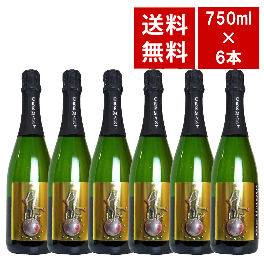【送料無料 6本セット】クレマン ド ブルゴーニュ ブリュット シャンパン2次発酵方式 ルー デュモン 正..