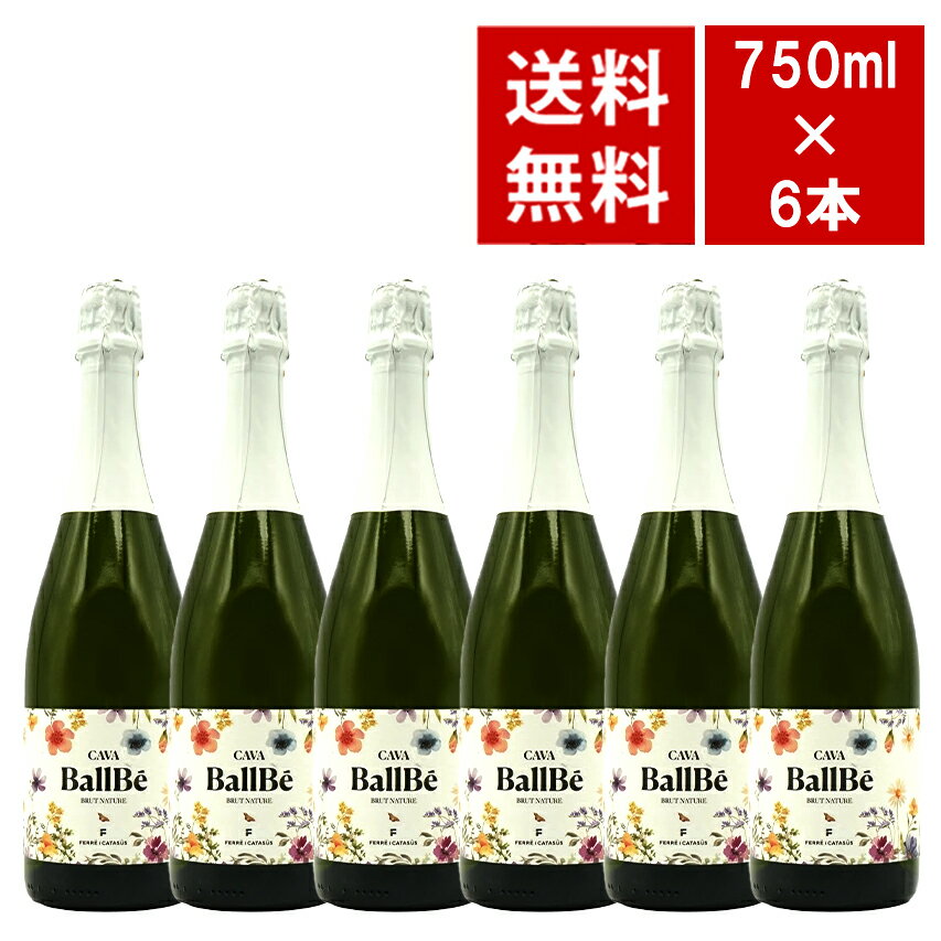 【送料無料 6本セット】カヴァ フェレ イ カタスス バルベ ブルット ナトゥーレ NV フェレ イ カタスス..