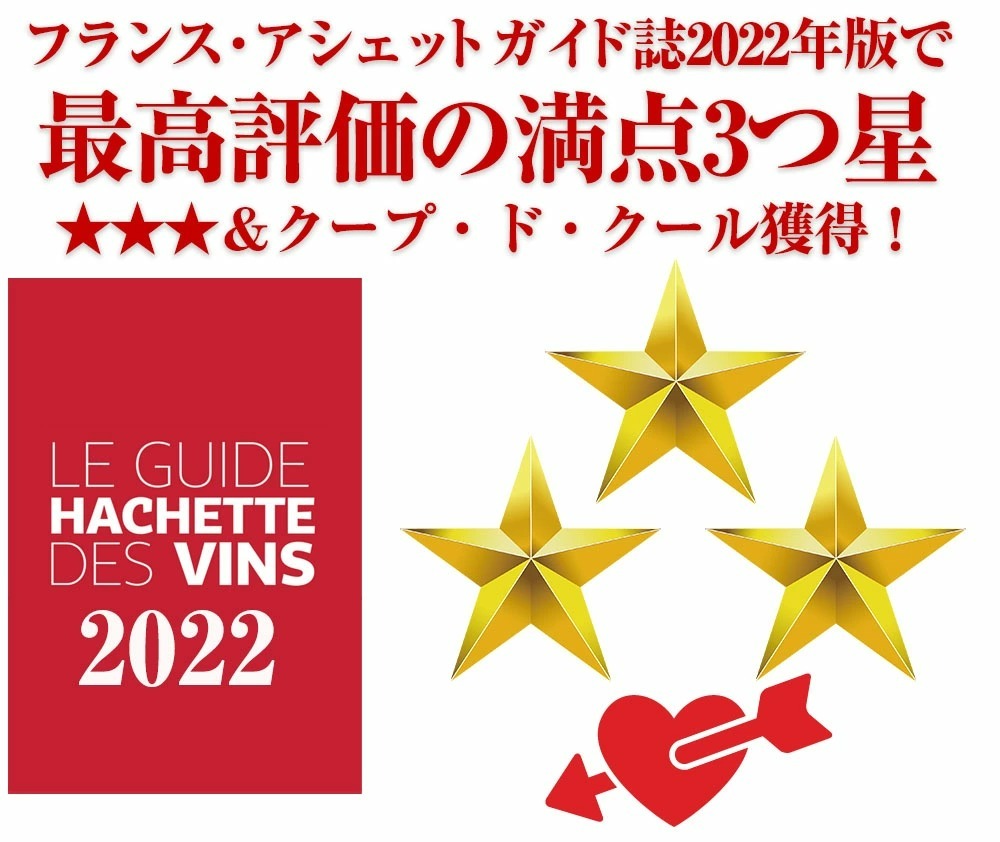 ブルゴーニュ アリゴテ ヴィエイユ ヴィーニュ 2023 蔵出し限定品 ドメーヌ レミ ジャニアール元詰 AOCブルゴーニュ アリゴテ ukigoods-10031846 愛あるしんちゃんショップ サンプル画像3