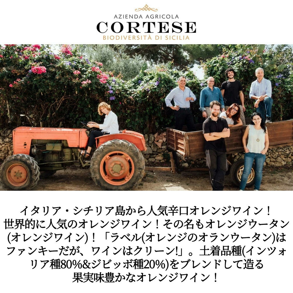 ����󥸥������� (����󥸥磻��) 2024 ��������� �����ꥳ�� ����ơ��� (3���ܥ��ƥե����Ρ��ޥ꡼�� ����å��) �ӥ������å�