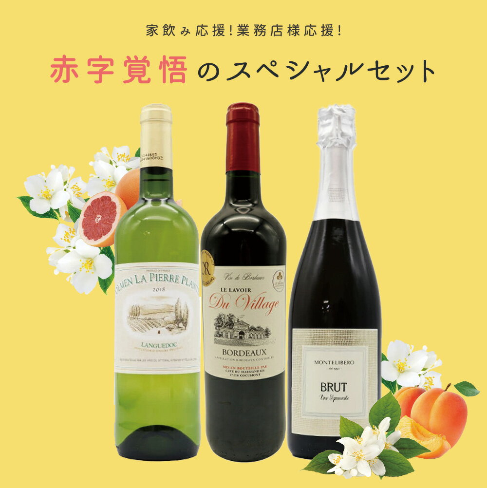 【送料無料】家飲み応援！業務店様応援！コロナに負けるな！ワインの玉手箱厳選！赤字覚悟の応援スペシャル赤・白・泡ワインセット【残り9本まで同梱可】