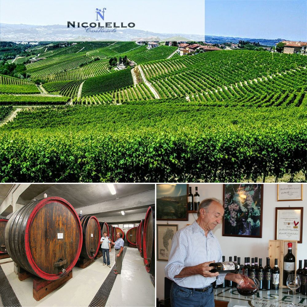 ������ ����ͥ��� �������˥� �ݥǥ��� 2016 ������ �����˥��� �˥���å����� ������î18����������ӽ�4����ʾ� ���ߺ�9ǯ������