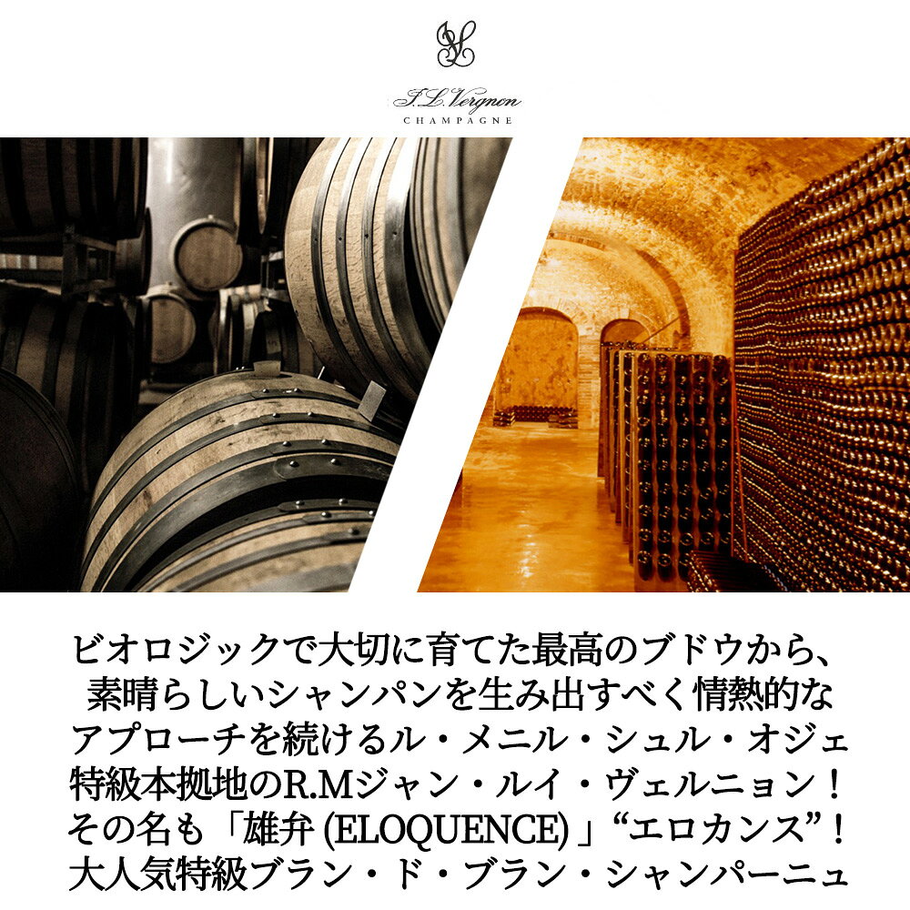 ジャン ルイ ヴェルニョン シャンパーニュ エロケンス エクストラ ブリュット GC ブラン ド ブラン J L ヴェルニョン AOCシャンパーニュ自然派 ビオロジック ukigoods-10019896 愛あるしんちゃんショップ サンプル画像2