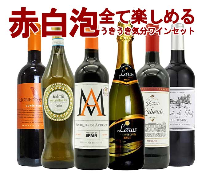 ワインセット 極上の味わい＆価格に超自信あり！毎日の食卓に！赤・白・泡が全て入ったうきうき気分6本ワインセット！ （送料無料） 家飲み