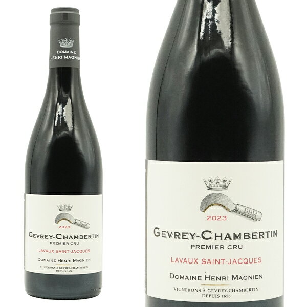 ������� �����٥륿�� �ץ�ߥ� ����� ��� ������� ���� ����å� 2023 �ɥ᡼�� ����� �ޥ˥�󸵵� AOC ������