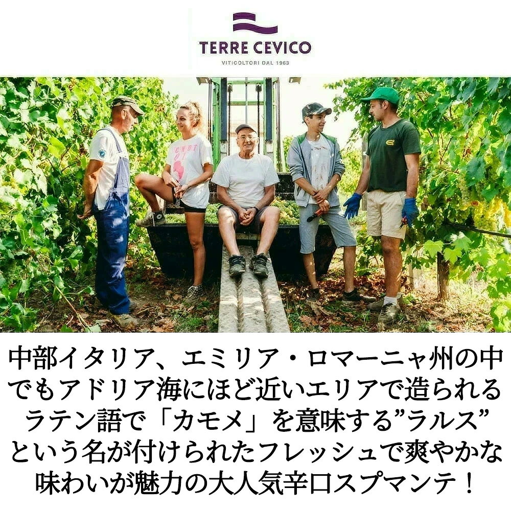 ラルス オーガニック スプマンテ ブリュット トレッビアーノ NV チェヴィコ社 イタリア エミリア ロマーニャ州 オーガニック スパークリング ukigoods-10031725 愛あるしんちゃんショップ サンプル画像3