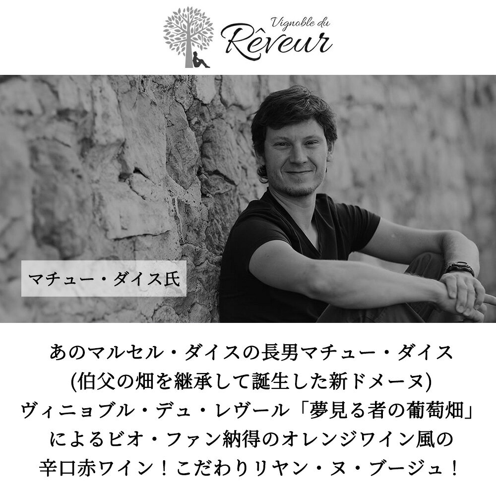 リヤン ヌ ブージュ 何も動かない NV ヴィニョブル デュ レヴール元詰 自然派ビオディナミ オレンジワイン風の辛口赤ワイン ノンフィルター ukigoods-10026768 愛あるしんちゃんショップ サンプル画像3