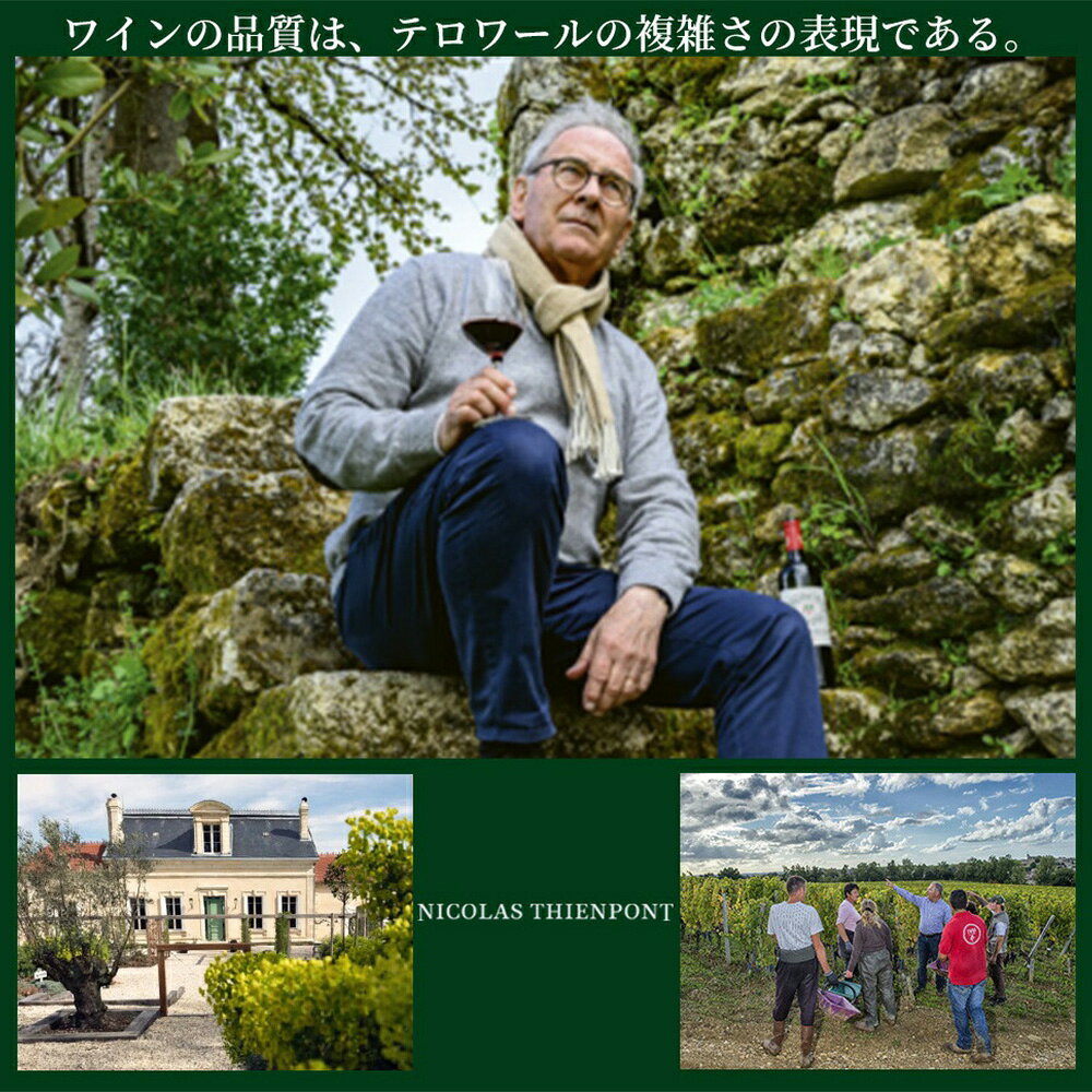 シャトー アルセ 2022 ニコラ ティエンポン AOCカスティヨン コート ド ボルドー ワインアドヴォケイト誌驚異91点 ukigoods-10029499 愛あるしんちゃんショップ サンプル画像3