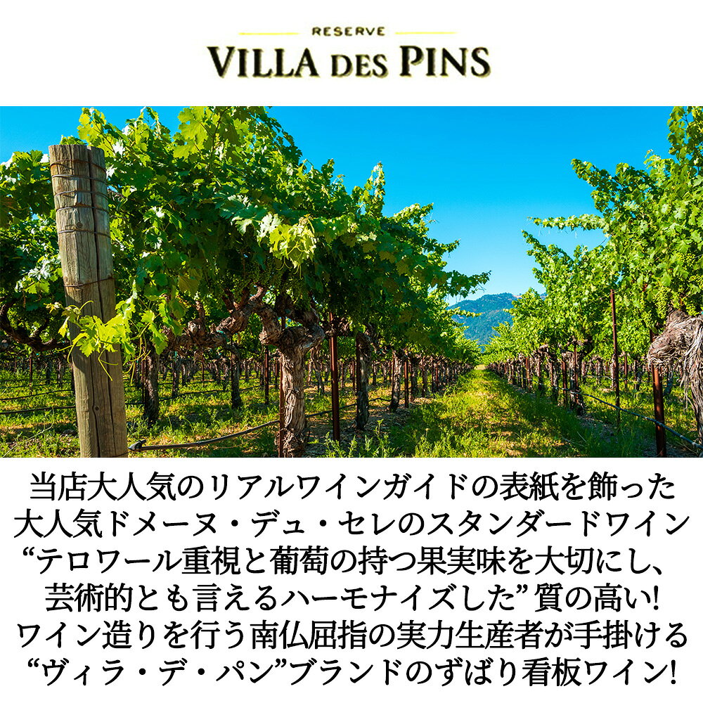 ヴィラ デ パン ブラン 白 2024 IGPペイ ドック 生産者元詰ワイン 当店大人気のリアルワインガイドの表紙を飾ったドメーヌ ukigoods-10015401 愛あるしんちゃんショップ サンプル画像2
