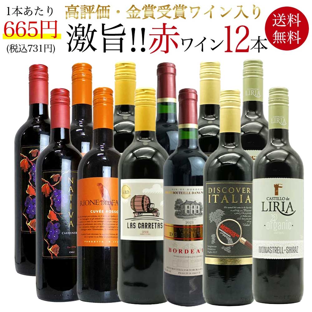 【送料無料】玉手箱厳選！高評価ワインや金賞ワインも入った激旨赤12本セット ワインセット (6種類×各2本)
