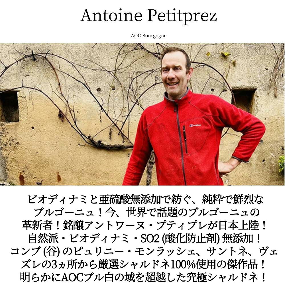 ブルゴーニュ ブラン ラ コンブ 2022 アントワーヌ プティプレ元詰 AOCブルゴーニュ ブラン 自然派 ビオディナミ SO2無添加 ukigoods-10028608 愛あるしんちゃんショップ サンプル画像2