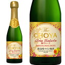 The CHOYA Ume Salute 750ml 梅 サルーテ 無