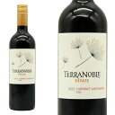 テラノブレ カベルネソービニヨン 2023 チリ マウレ 赤ワイン ワイン ミディアムボディ 750ml