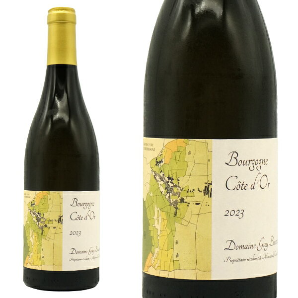 楽天愛あるしんちゃんショップブルゴーニュ ブラン コート ドール 2023 蔵出し作品 ドメーヌ ギィ ボカール元詰 自然派 有機オーガニック ビオ 14％