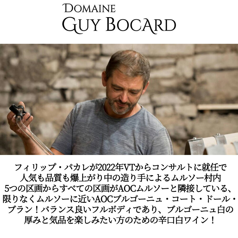 ブルゴーニュ ブラン コート ドール 2023 蔵出し作品 ドメーヌ ギィ ボカール元詰 自然派 有機オーガニック ビオ 14％ ukigoods-10029467 愛あるしんちゃんショップ サンプル画像3