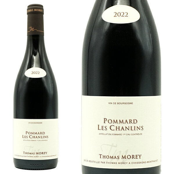 �ݥޡ��� �ץ�ߥ� ����� �� ������� 2022 ¢�Ф������� �ɥ᡼�� �ȥ� ��층�� AOC�ݥޡ��� �ץ�ߥ� ����� ������