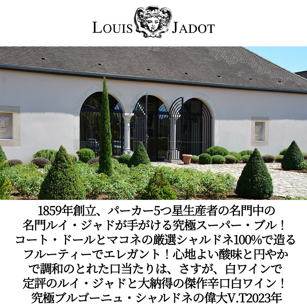 ブルゴーニュ シャルドネ 2023 蔵出し ルイ ジャド社 AOCブルゴーニュ ブラン 正規代理店輸入品 ukigoods-10029646 愛あるしんちゃんショップ サンプル画像3