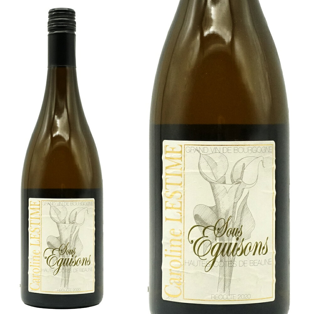 �֥르���˥� ������ ������ �� �ܡ��� �֥�� ���� �������� 2020 ¢�Ф��� �ɥ᡼�� ����� �Υ��� ���˥㡼�븵�� ������ �ӥ������å�