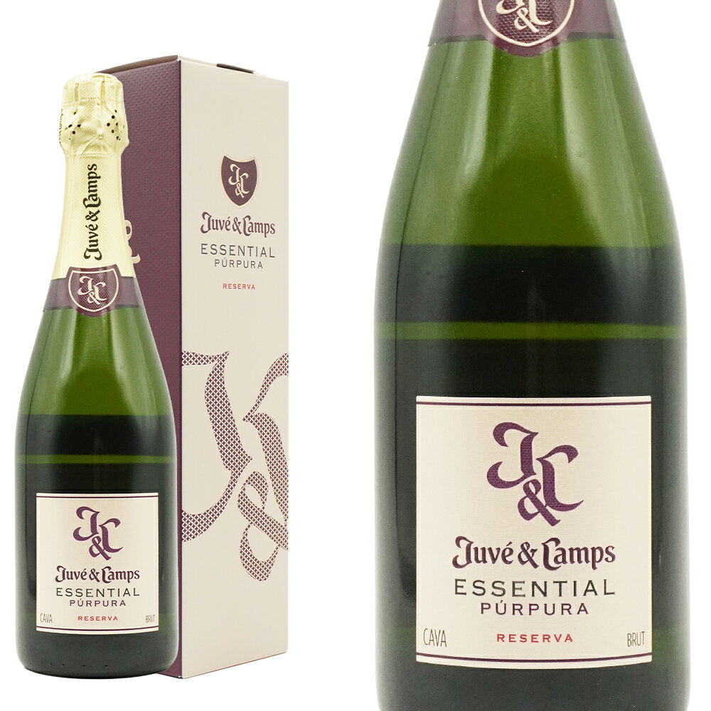 뤷󥷥åפ㤨֡Ȣۥ ץ ( å󥷥 ץץ 쥻 ֥å ơ[2020]ǯ ֥å D.O.СפβǤʤ2,178ߤˤʤޤ