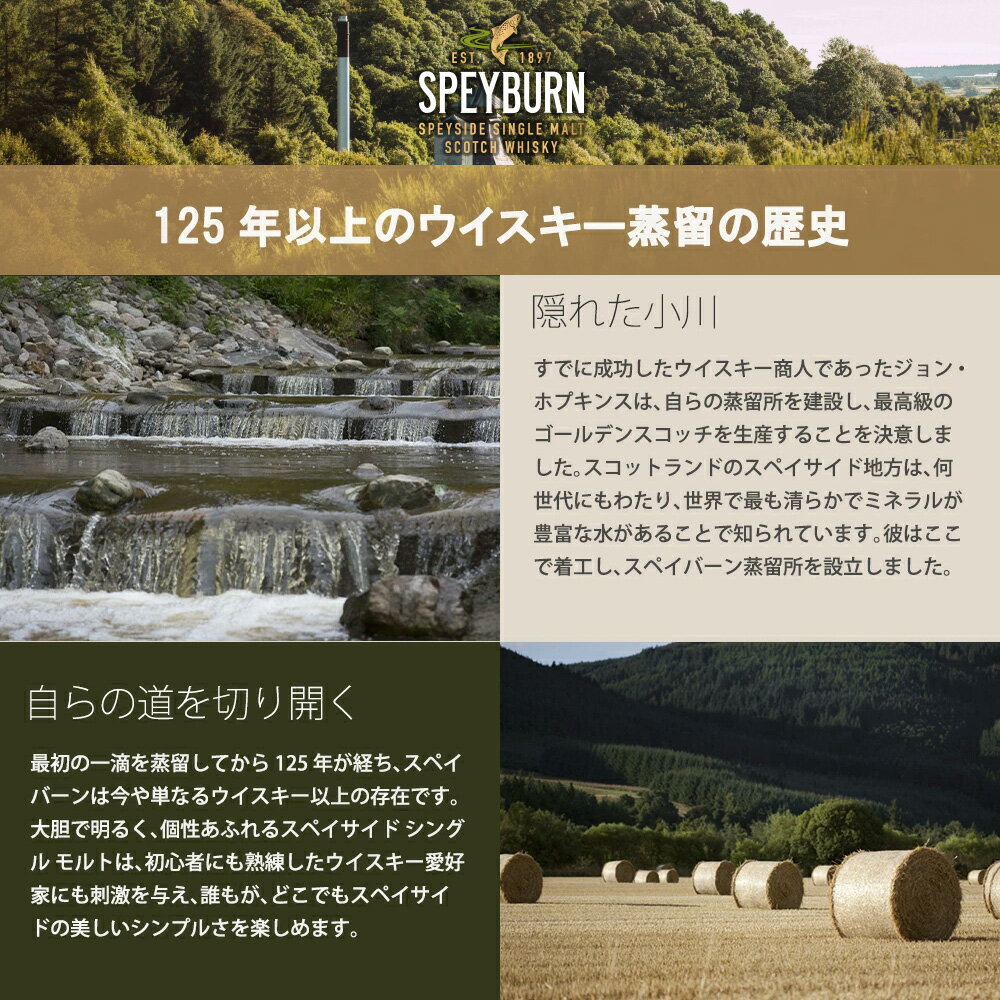 【正規品 箱入】スペイバーン ラム カスク フィニッシュ スペイサイド シングル モルト スコッチ ウイスキー 700ml 40％
