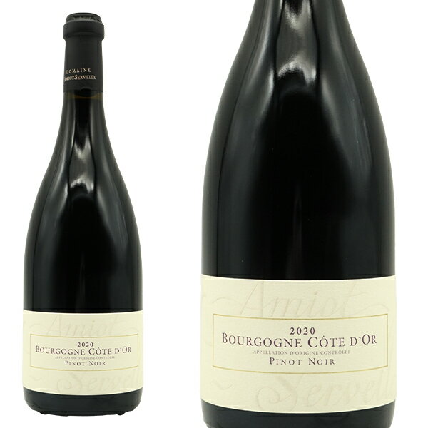 ブルゴーニュ コート ドール ピノ ノワール 2020 ドメーヌ アミオ セルヴェル元詰 重厚ボトル AOCブルゴーニュ ルージュ 自然派