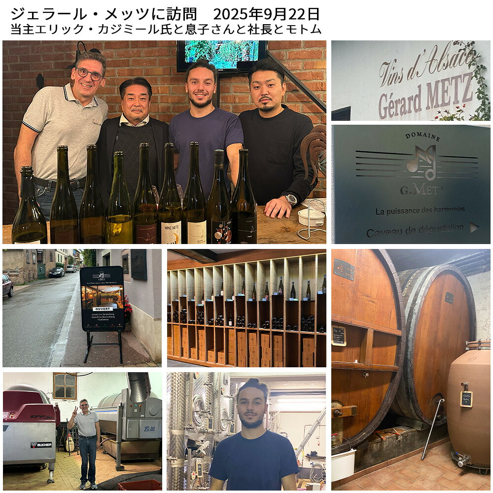クレマン ダルザス ブリュット 蔵出し Dm ジェラール メッツ元詰 手摘み100％ 自然派リュット レゾネ 白ワイン ヴァン ナチュール ukigoods-10018739 愛あるしんちゃんショップ サンプル画像2