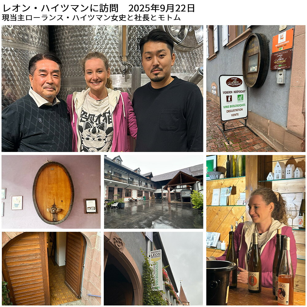 アルザス ジャンティ ド カッツ 2019　ドメーヌ クレマン クリュール家 自然派 ビオディナミ エコセール＆デメテールW認証 白ワイン ワイン やや辛口 750ml ukigoods-10005265 愛あるしんちゃんショップ サンプル画像3
