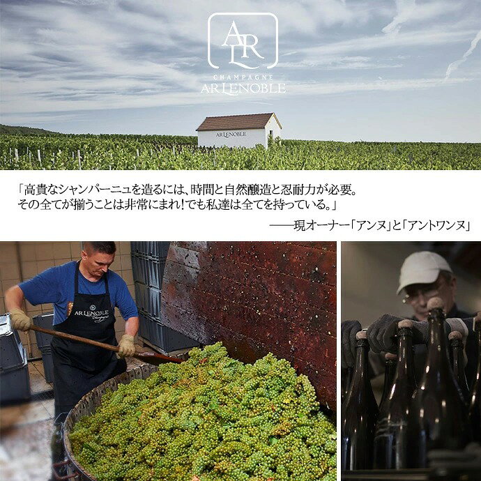 A.R.ルノーブル ブリュット アンタンス マグ 20 シャンパーニュ ブリュット AOCシャンパーニュ 750ml 高級泡 辛口 白 ukigoods-10027499 愛あるしんちゃんショップ サンプル画像3