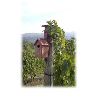 格付けイタリアワイン（DOCG） サンテロ モスカート・ダスティ ヴィッラ・ヨランダ 2022 DOCG モスカート・ダスティ （イタリア・スパークリングワイン）